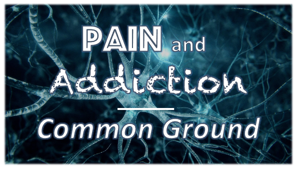 Pain and Addiction:  Common Ground